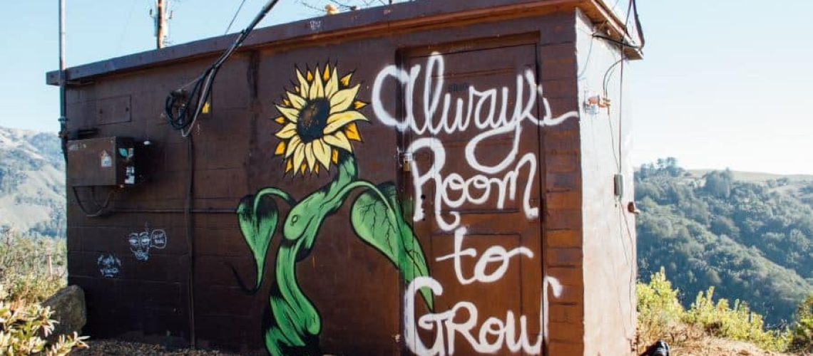 Painting of flower and words always room to grow depicting Diag Partners Growing